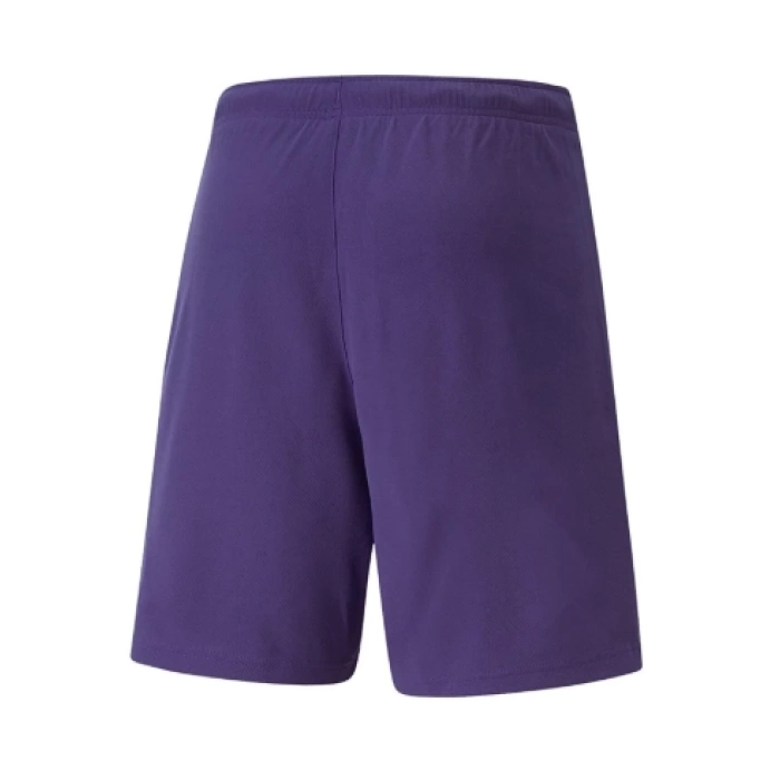 Puma Antrenman ürünleri Şort Teamrise Short