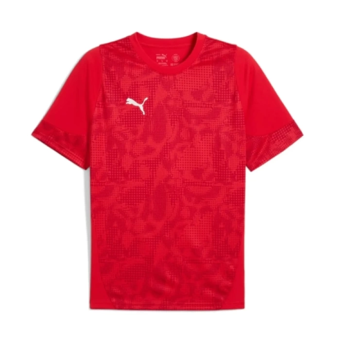Puma Antrenman ürünleri Tişört TEAMCUP TRAINING JERSEY