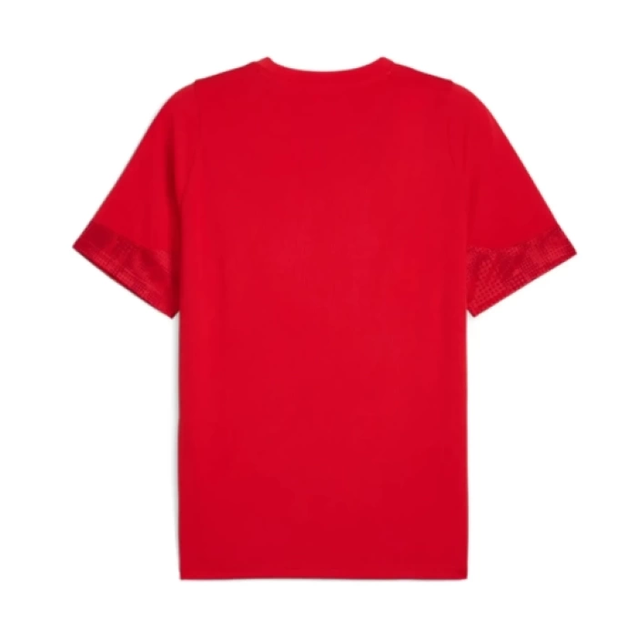 Puma Antrenman ürünleri Tişört TEAMCUP TRAINING JERSEY