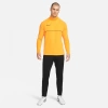 NIKE Dri-FIT Academy21 Turuncu Erkek Antrenman Üst