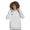 Adidas Entrada 22 Sweat Hoodie Erkek Futbol Sweatshirts