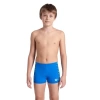 BOYS ARENA POOL TILES SWIM SHORT BLUE RIVER BLUE MULTI