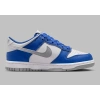 Nike Dunk Low GS Star Blue/Summit White HV6363-400