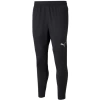 Pants Puma teamFinal Training 657380-03