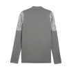 Puma Antrenman ürünleri Antrenman Ceketleri TEAMCUP TRAINING JACKET
