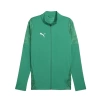 Puma Antrenman ürünleri Antrenman Ceketleri TEAMCUP TRAINING JACKET