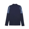 Puma Antrenman ürünleri Antrenman Ceketleri TEAMCUP TRAINING JACKET