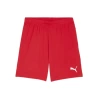 Puma Antrenman ürünleri Antrenman Şort Teamgoal Shorts