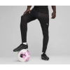 Puma Antrenman ürünleri Antrenman Uzun Alt Teamfinal Training Pants