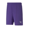 Puma Antrenman ürünleri Şort Teamrise Short