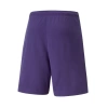 Puma Antrenman ürünleri Şort Teamrise Short