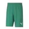 Puma Antrenman ürünleri Şort Teamrise Short