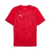 Puma Antrenman ürünleri Tişört TEAMCUP TRAINING JERSEY