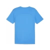 Puma Antrenman ürünleri Tişört TEAMFINAL TRAINING JERSEY