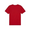 Puma Antrenman ürünleri Tişört Teamfinal Training Jersey