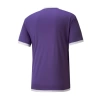 Puma Futbol Formalar TEAMLIGA JERSEY