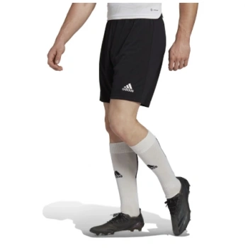 Adidas Antrenman ürünleri Şort Ent22 Sho