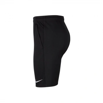 Nike Erkek Spor Şort - Dri-Fit Park CEPLİ