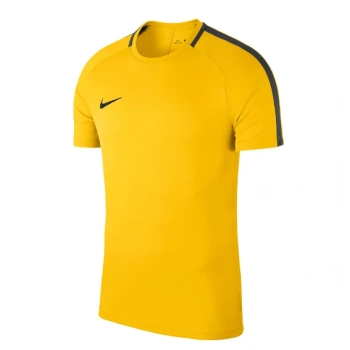NİKE M Dry Acdmy18 Top Ss Erkek Futbol Tişörtü 893693-719