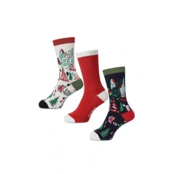 Pine Tree Çok Renkli Unisex 3lü Çorap