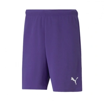 Puma Antrenman ürünleri Şort Teamrise Short