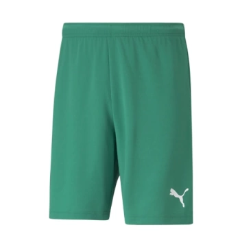 Puma Antrenman ürünleri Şort Teamrise Short