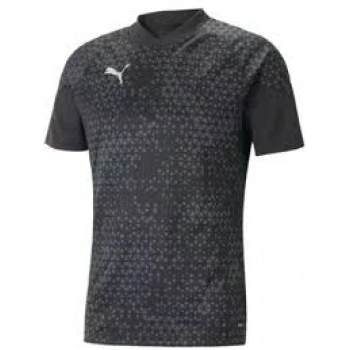 Puma teamCUP Training Jersey