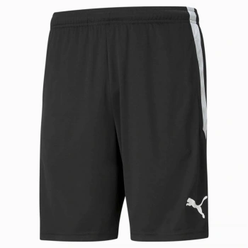 Puma TeamLiga Training Football Erkek Şort 657249-03