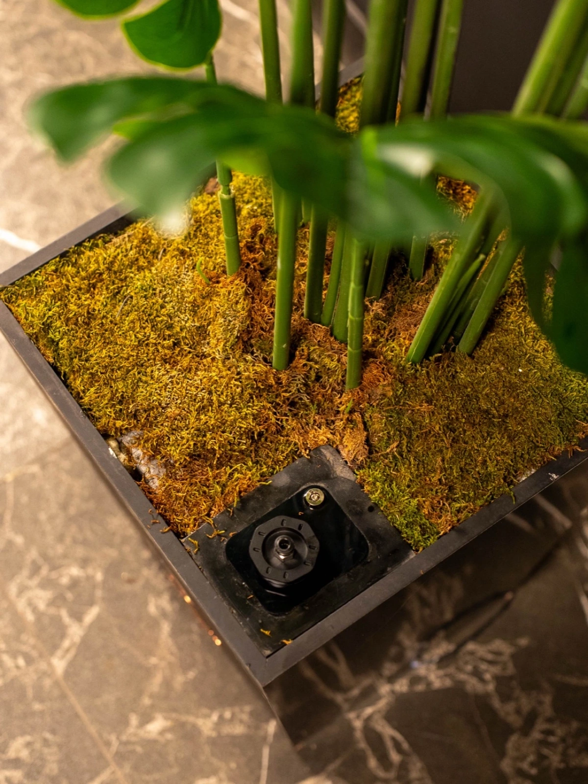 Profesyonel Koku Makinesi