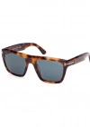 TOM FORD 1077 53V 55