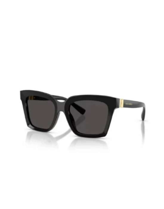 DOLCE GABBANA 4498 501/87 55