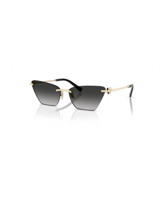TIFFANY&CO 3120 62413C 61