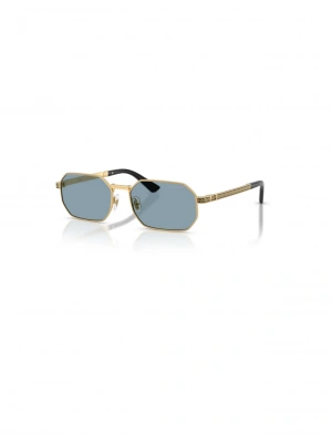 VERSACE 2297 100280 54