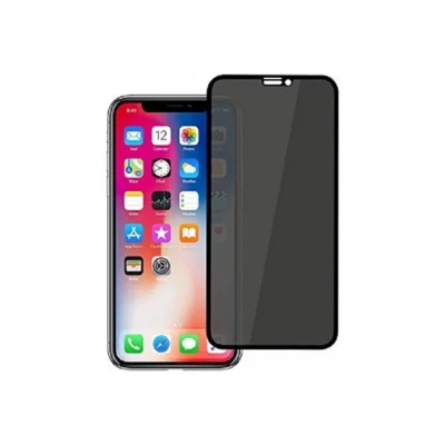 Apple Iphone 12 Pro Max 6.7 Inç Privacy Hayalet 10d Ekran Koruyucu Siyah Cam