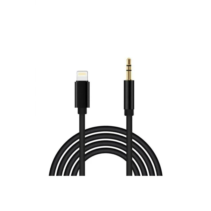 Ygt Audio-Transfer AUX Audio Kablo (Lightning to 3.5mm)