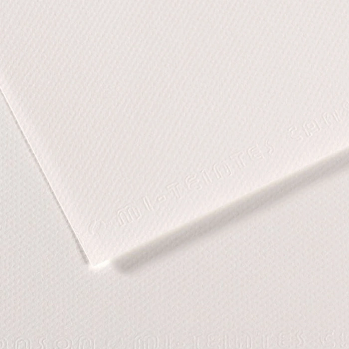 Canson Fon Kartonu (Dokulu) Mı-Teıntes 50x65 160 GR Whıt 335