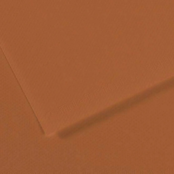 Canson Fon Kartonu (Dokulu) Mı-Teıntes Sh Canmt 50x65 160 GR Brown 187