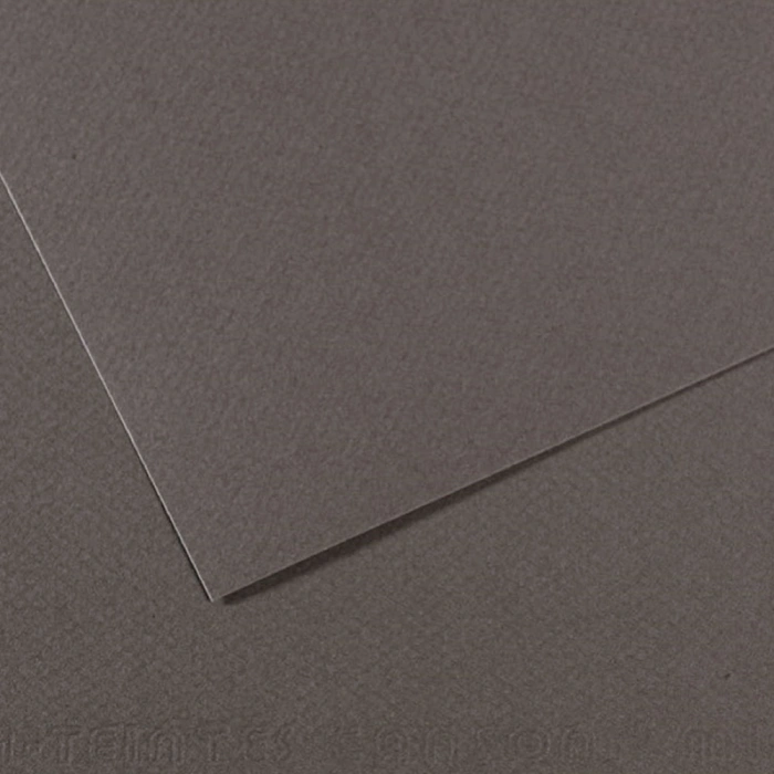 Canson Fon Kartonu (Dokulu) Mı-Teıntes Sh Canmt 50x65 160 GR Grey 345