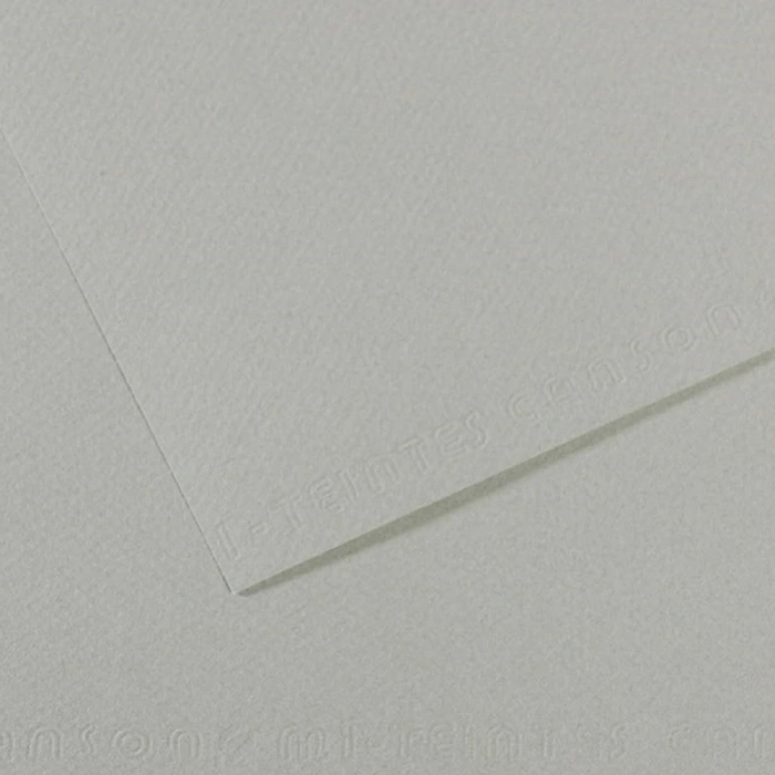 Canson Fon Kartonu (Dokulu) Mı-Teıntes Sh Canmt 50x65 160 GR Grey 354
