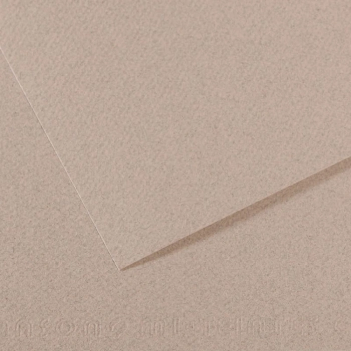 Canson Fon Kartonu (Dokulu) Mı-Teıntes Sh Canmt 50x65 160 GR Grey 426