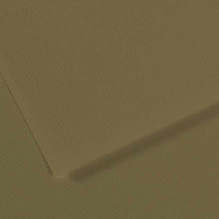 Canson Fon Kartonu (Dokulu) Mı-Teıntes Sh Canmt 50x65 160 GR Grn 191