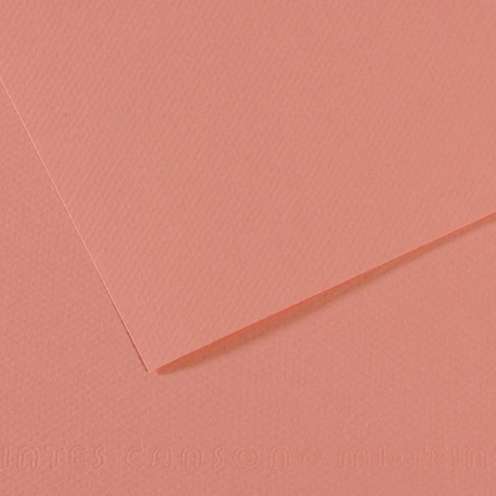 Canson Fon Kartonu (Dokulu) Mı-Teıntes Sh Canmt 50x65 160 GR Pink 352