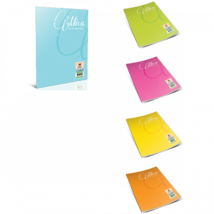 Gıpta Defter (Dikişli ) Mica Plastik Kapak Kareli 80 YP A5 2055