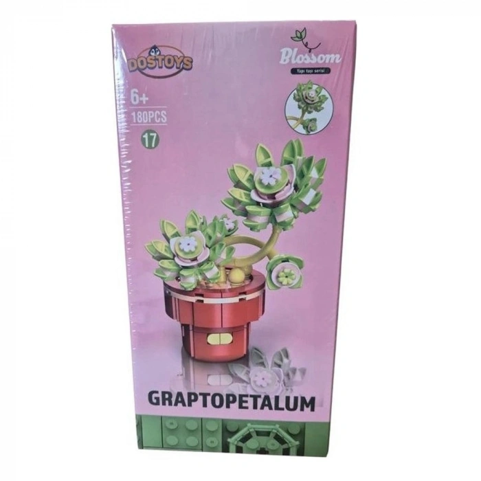 Oceanfour 113-17-24-2 Graptopetalum Çiçek Lego