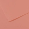 Canson Fon Kartonu (Dokulu) Mı-Teıntes Sh Canmt 50x65 160 GR Pink 352