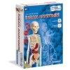 Clementoni İlk Keşiflerim (İnsan Anatomisi) 64297