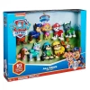 Paw Patrol Hediye Figür Seti