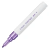 Pilot Pintor (F) Metalik Mor SW-PT-F-MV