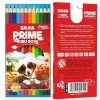 Silka Kuru Boya Prime Tam Boy 12 Li