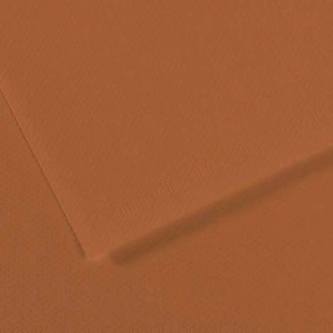 Canson Fon Kartonu (Dokulu) Mı-Teıntes Sh Canmt 50x65 160 GR Brown 187